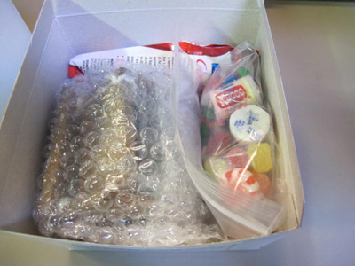 gingerbread house kit packaging