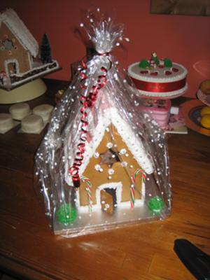 My first gingerbread house