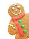 Happy Gingerbread Man